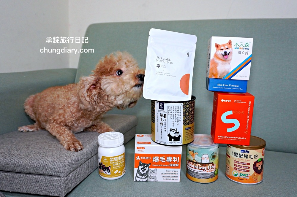 【2024最新】8大鱉蛋爆毛粉推薦，狗掉毛、禿毛保健品怎麼吃？狗狗毛髮保養實測！