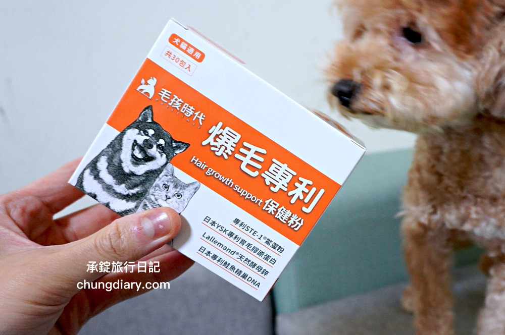 【2024最新】8大鱉蛋爆毛粉推薦，狗掉毛、禿毛保健品怎麼吃？狗狗毛髮保養實測！