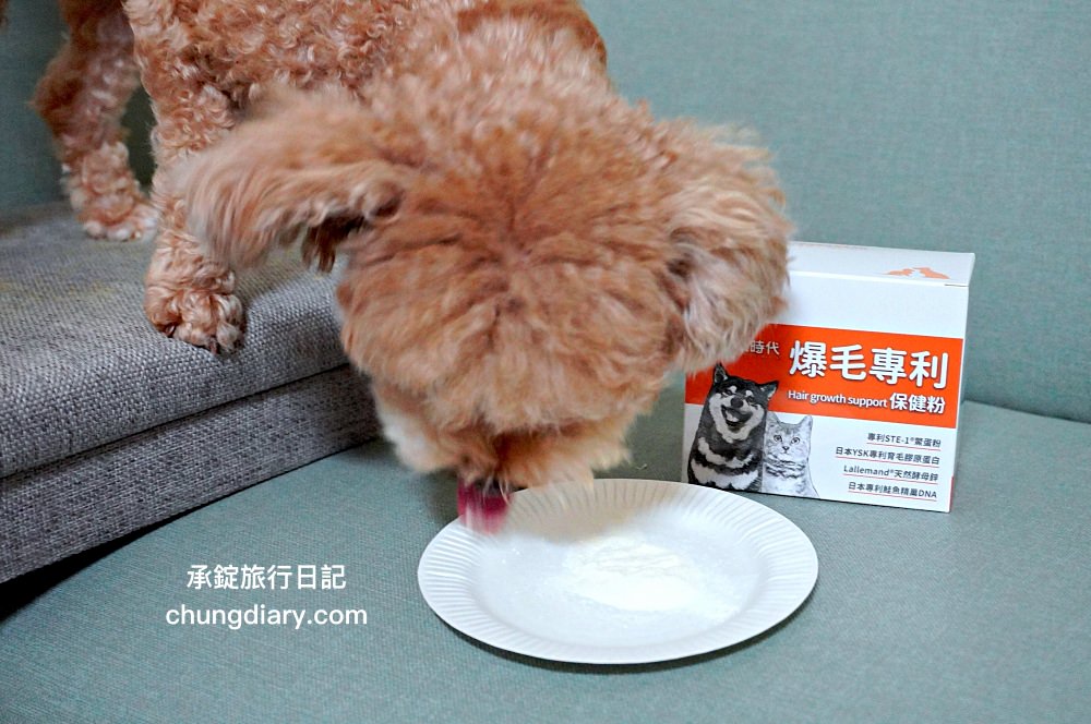 【2024最新】8大鱉蛋爆毛粉推薦，狗掉毛、禿毛保健品怎麼吃？狗狗毛髮保養實測！