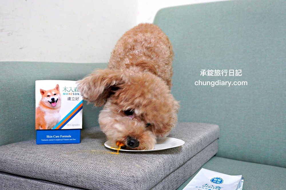 【2024最新】8大鱉蛋爆毛粉推薦，狗掉毛、禿毛保健品怎麼吃？狗狗毛髮保養實測！