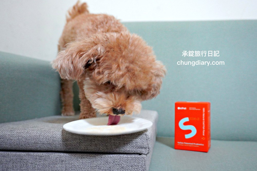 【2024最新】8大鱉蛋爆毛粉推薦，狗掉毛、禿毛保健品怎麼吃？狗狗毛髮保養實測！