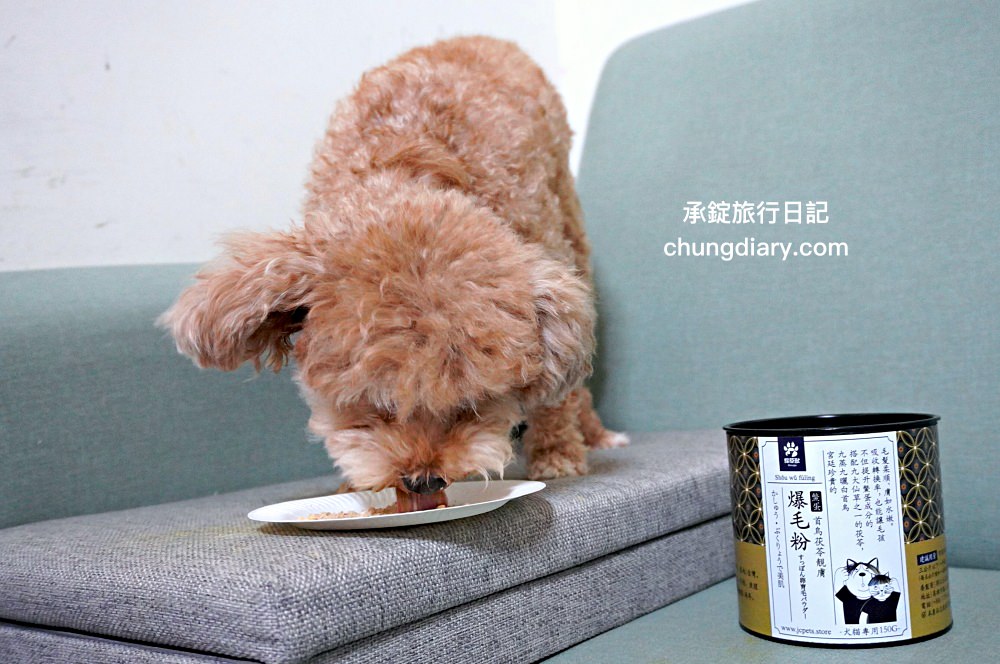 【2024最新】8大鱉蛋爆毛粉推薦，狗掉毛、禿毛保健品怎麼吃？狗狗毛髮保養實測！