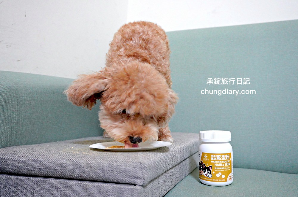 【2024最新】8大鱉蛋爆毛粉推薦，狗掉毛、禿毛保健品怎麼吃？狗狗毛髮保養實測！