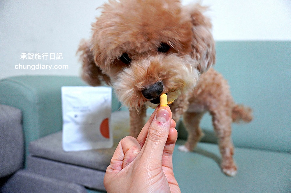 【2024最新】8大鱉蛋爆毛粉推薦，狗掉毛、禿毛保健品怎麼吃？狗狗毛髮保養實測！