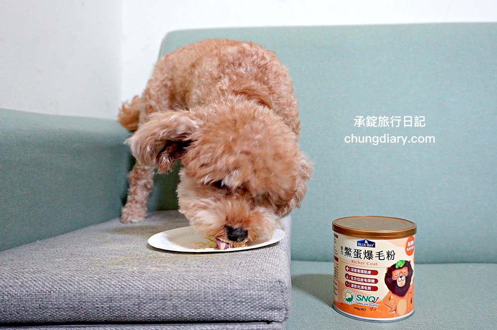 【2024最新】8大鱉蛋爆毛粉推薦，狗掉毛、禿毛保健品怎麼吃？狗狗毛髮保養實測！