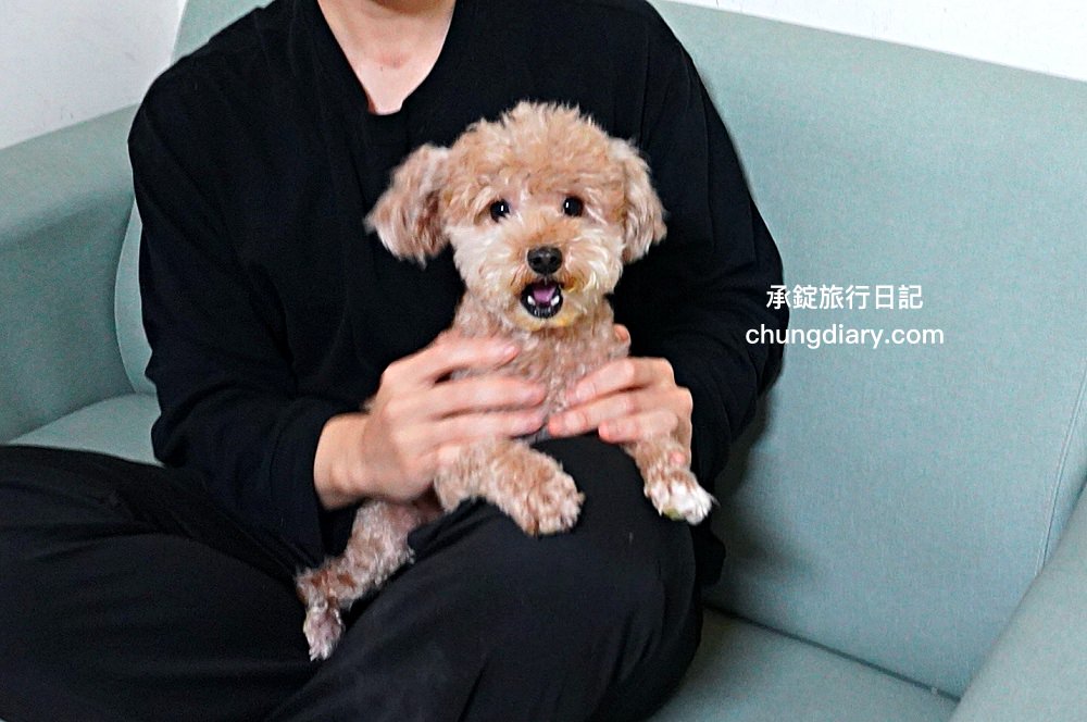 【2024最新】8大鱉蛋爆毛粉推薦，狗掉毛、禿毛保健品怎麼吃？狗狗毛髮保養實測！