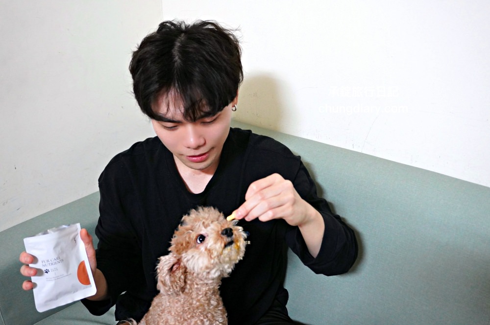 【2024最新】8大鱉蛋爆毛粉推薦，狗掉毛、禿毛保健品怎麼吃？狗狗毛髮保養實測！