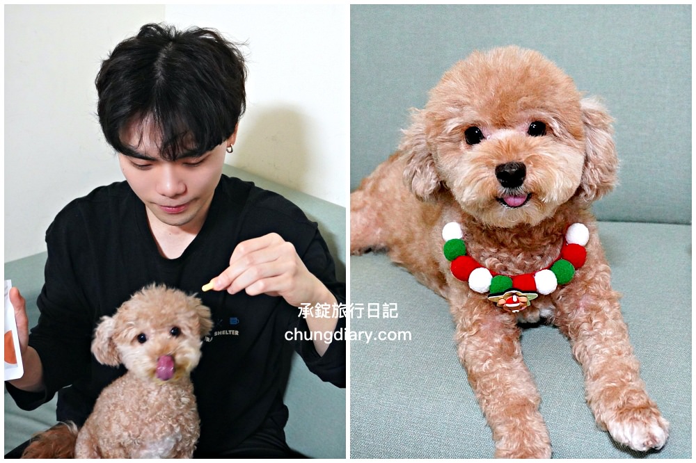 【2024最新】8大鱉蛋爆毛粉推薦，狗掉毛、禿毛保健品怎麼吃？狗狗毛髮保養實測！