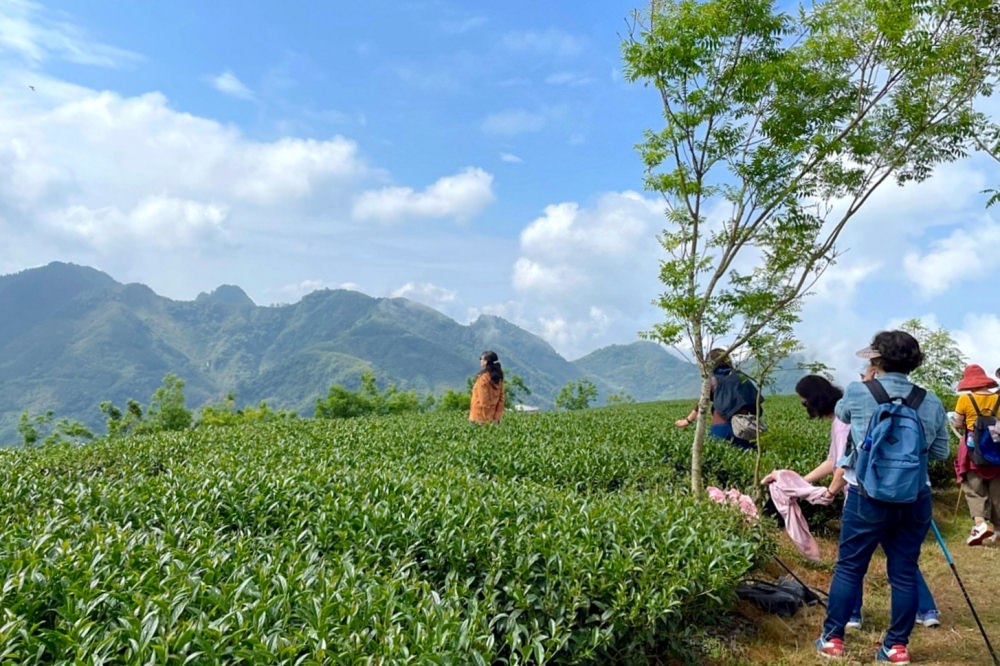 嘉義兩天一夜行程規劃|阿里山烏龍茶、台灣高山茶、梅山竹崎瑞里景點推薦!三癸亭製茶、出水坑步道、出水製茶所、雲潭瀑布、雲潭舖子&有人伴伴coffee、茶壺餐廳。 - 第20張圖 嘉義兩天一夜行程規劃|阿里山烏龍茶、台灣高山茶、梅山竹崎瑞里景點推薦!三癸亭製茶、出水坑步道、出水製茶所、雲潭瀑布、雲潭舖子&有人伴伴coffee、茶壺餐廳。