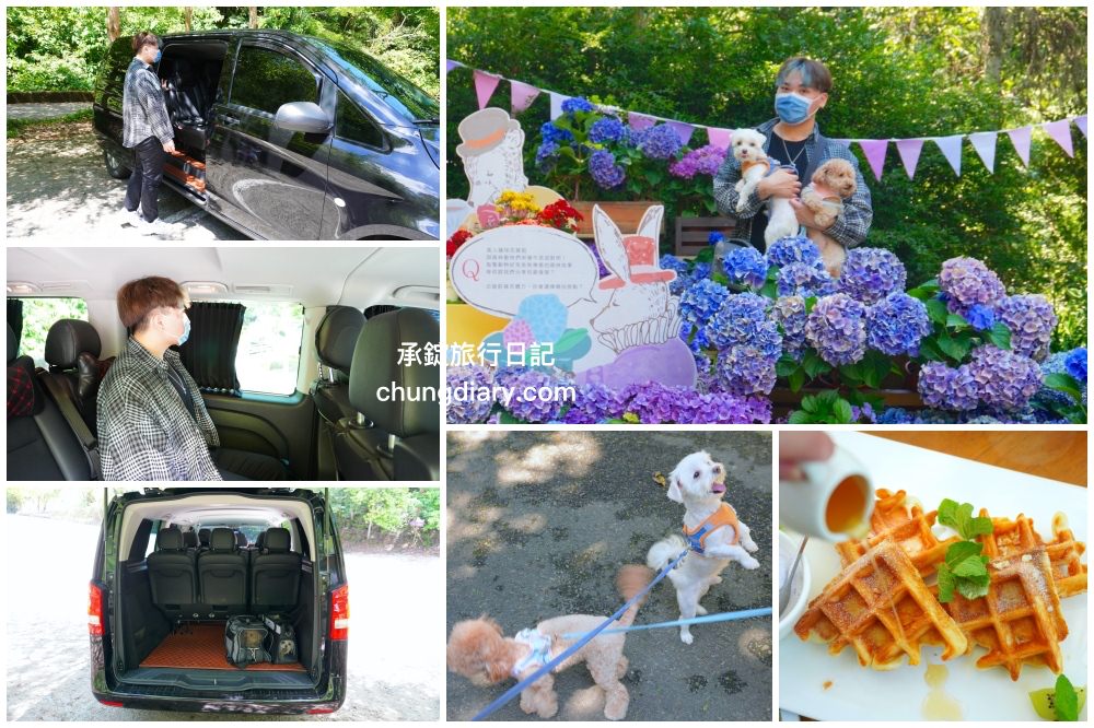 台中新社一日遊【叫車吧包車旅遊】專車接送、客製化服務！寵物友善餐廳「薰衣草森林＋阿亮香菇園」寵物旅遊景點推薦！
