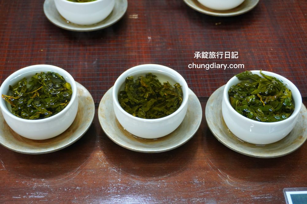 全台最美茶園！嘉義梅山私房景點【太和寈芳茶廠】隱藏版茶園秘境【大風埕觀日峰】一望無際綠油油的茶園風光。