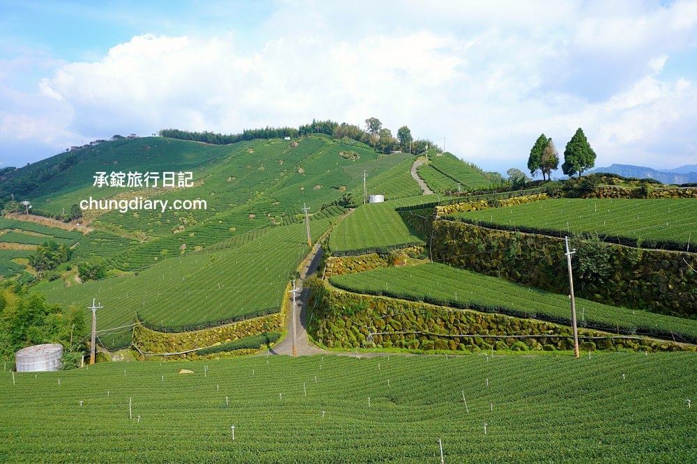 全台最美茶園！嘉義梅山私房景點【太和寈芳茶廠】隱藏版茶園秘境【大風埕觀日峰】一望無際綠油油的茶園風光。