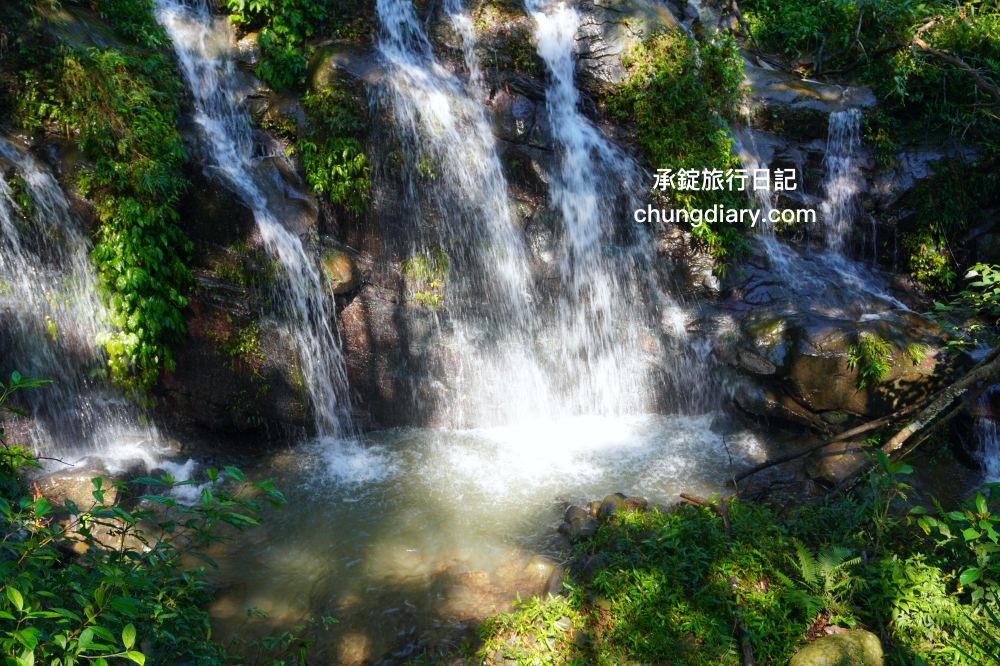 嘉義梅山太興景點｜阿里山二兩天一夜行程規劃，太興黃頭鷺季、翔億樓民宿(太興山莊)、太興飛瀑步道、鴻朋啡茶站、梨園寮車站。