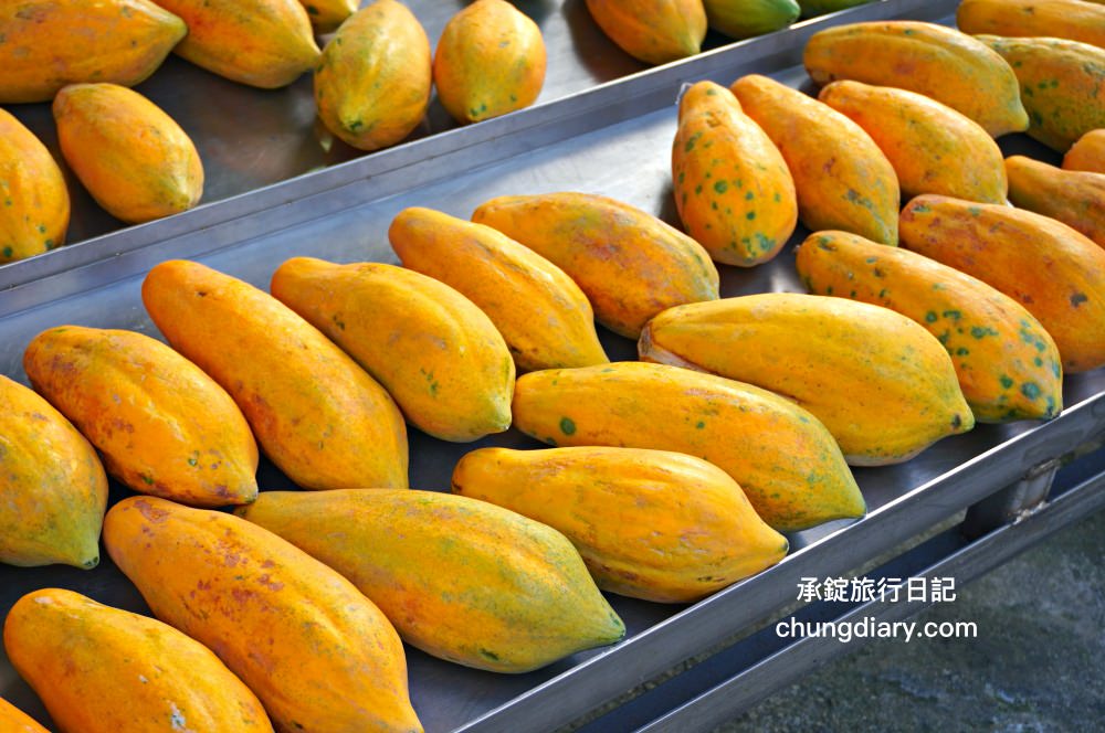 屏東火車站附近【秋林牛乳大王】在地50年老店，必吃「榴槤牛乳冰」堆高高超浮誇！