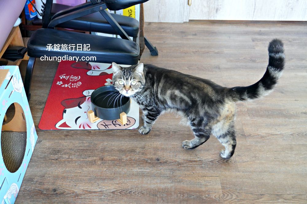 屏東火車站附近【菘足體養生館】高CP值按摩店推薦！肩頸舒筋、腳底按摩、精油舒筋、全身指壓、拔罐刮痧、足體按摩、傳統整復推拿。