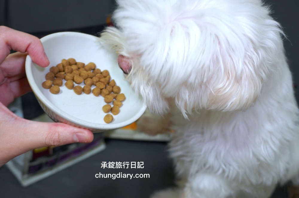 烘焙客狗飼料評價【Oven-Baked烘焙客犬糧】天然烘焙飼料，消化不良/高齡犬/貪吃犬/少牙犬友善，適合全齡犬寵物飼料推薦。