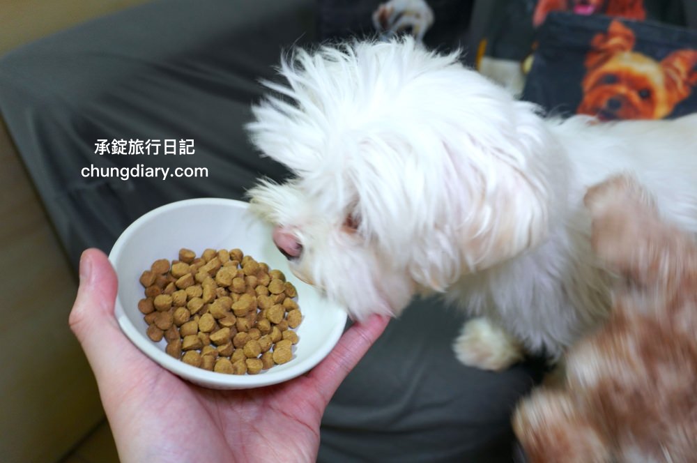烘焙客狗飼料評價【Oven-Baked烘焙客犬糧】天然烘焙飼料，消化不良/高齡犬/貪吃犬/少牙犬友善，適合全齡犬寵物飼料推薦。