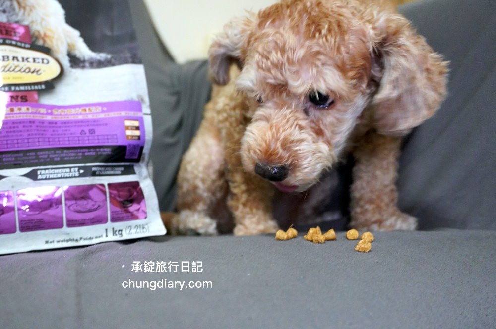 烘焙客狗飼料評價【Oven-Baked烘焙客犬糧】天然烘焙飼料，消化不良/高齡犬/貪吃犬/少牙犬友善，適合全齡犬寵物飼料推薦。