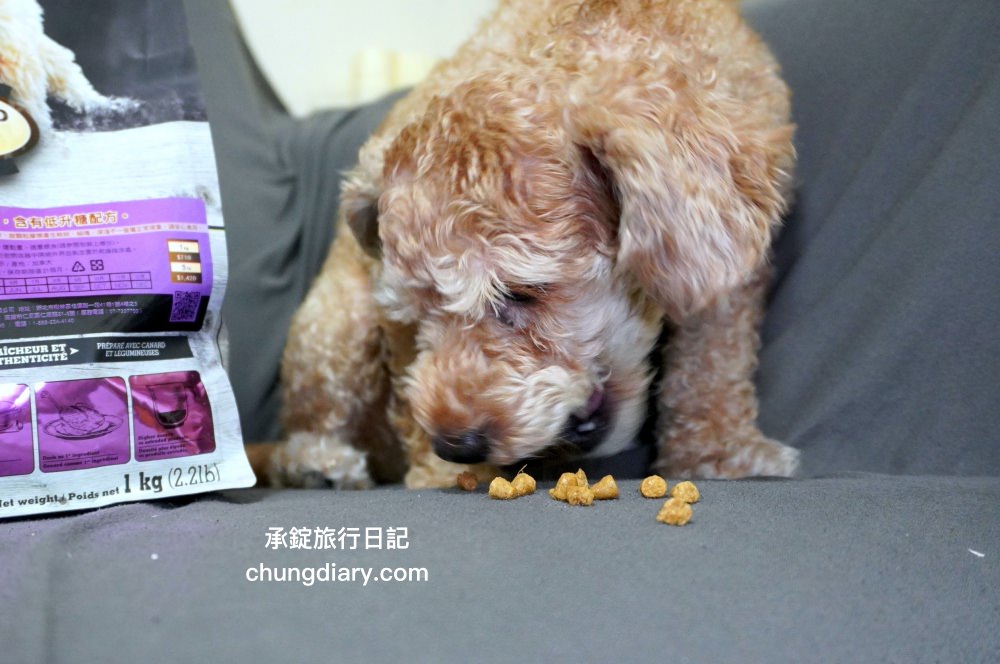 烘焙客狗飼料評價【Oven-Baked烘焙客犬糧】天然烘焙飼料，消化不良/高齡犬/貪吃犬/少牙犬友善，適合全齡犬寵物飼料推薦。