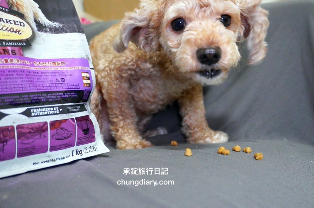 烘焙客狗飼料評價【Oven-Baked烘焙客犬糧】天然烘焙飼料，消化不良/高齡犬/貪吃犬/少牙犬友善，適合全齡犬寵物飼料推薦。