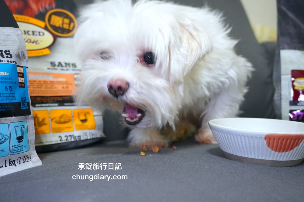 烘焙客狗飼料評價【Oven-Baked烘焙客犬糧】天然烘焙飼料，消化不良/高齡犬/貪吃犬/少牙犬友善，適合全齡犬寵物飼料推薦。