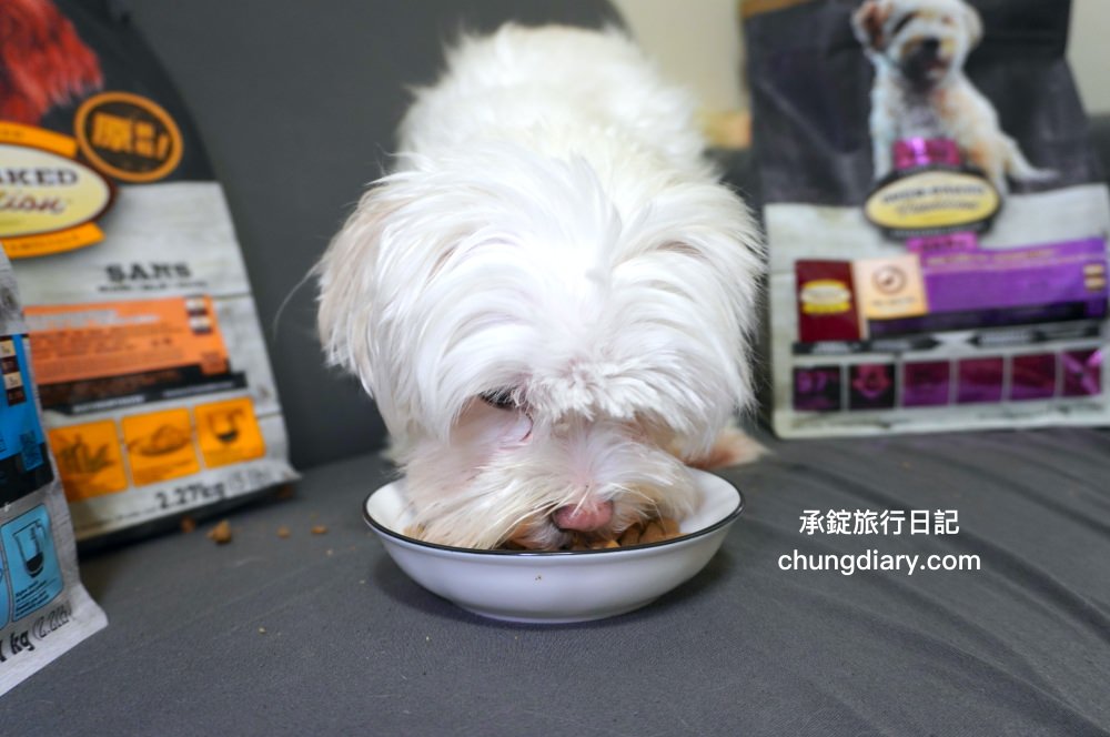 烘焙客狗飼料評價【Oven-Baked烘焙客犬糧】天然烘焙飼料，消化不良/高齡犬/貪吃犬/少牙犬友善，適合全齡犬寵物飼料推薦。
