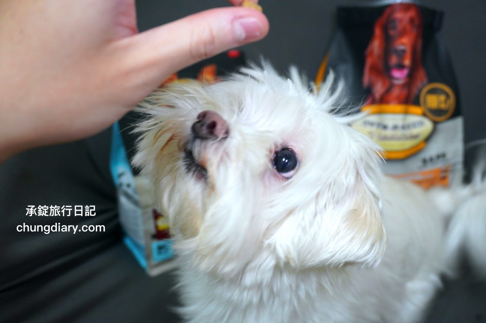 烘焙客狗飼料評價【Oven-Baked烘焙客犬糧】天然烘焙飼料，消化不良/高齡犬/貪吃犬/少牙犬友善，適合全齡犬寵物飼料推薦。