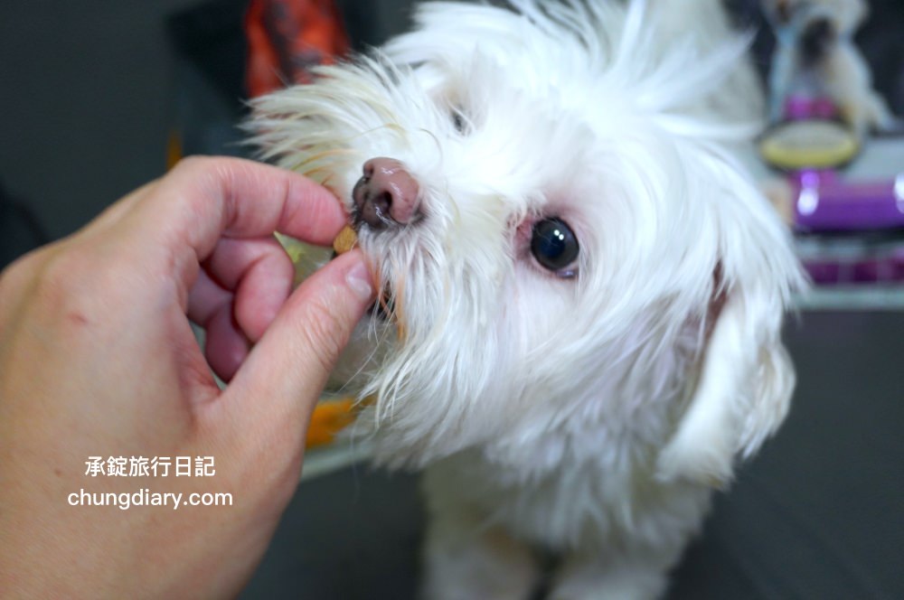 烘焙客狗飼料評價【Oven-Baked烘焙客犬糧】天然烘焙飼料，消化不良/高齡犬/貪吃犬/少牙犬友善，適合全齡犬寵物飼料推薦。