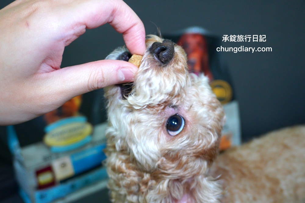 烘焙客狗飼料評價【Oven-Baked烘焙客犬糧】天然烘焙飼料，消化不良/高齡犬/貪吃犬/少牙犬友善，適合全齡犬寵物飼料推薦。