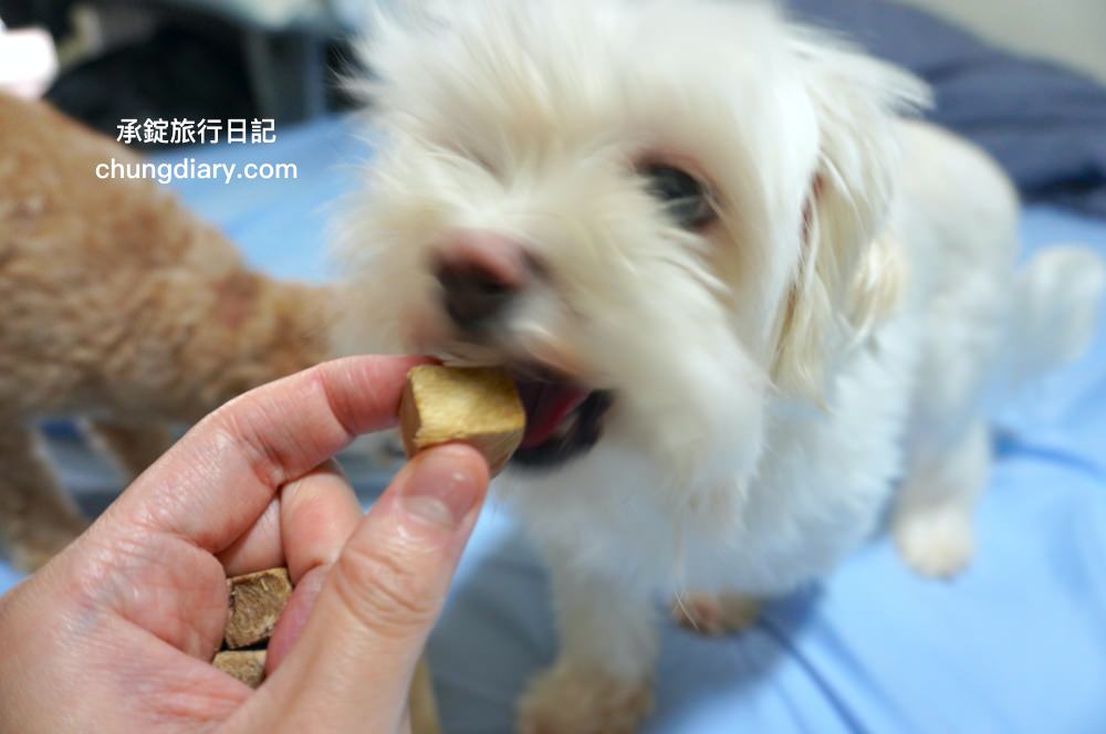 寵物凍乾零食【獸益糧多】極黑烏骨雞、珍饌虱目魚、特選骰子牛，100%自然原肉，不添加任何化學物、香料、防腐劑等，通過SGS檢驗、ISO/HACCP認證，挑嘴毛孩必備肉乾推薦！