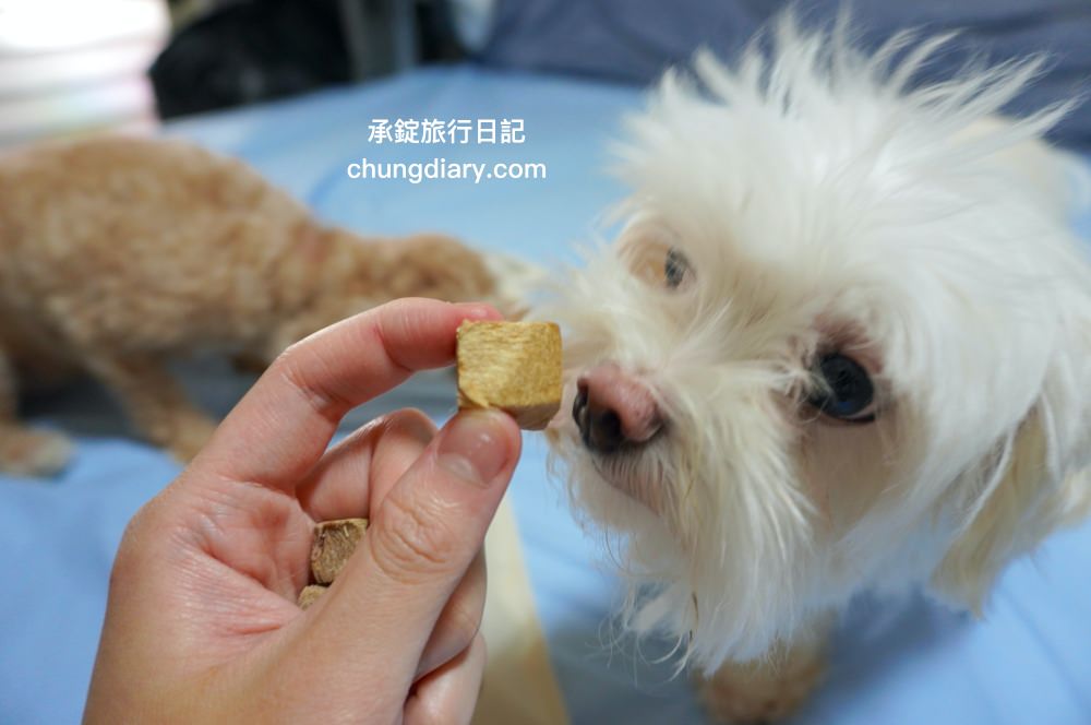 寵物凍乾零食【獸益糧多】極黑烏骨雞、珍饌虱目魚、特選骰子牛，100%自然原肉，不添加任何化學物、香料、防腐劑等，通過SGS檢驗、ISO/HACCP認證，挑嘴毛孩必備肉乾推薦！