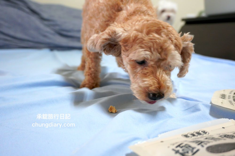 寵物凍乾零食【獸益糧多】極黑烏骨雞、珍饌虱目魚、特選骰子牛，100%自然原肉，不添加任何化學物、香料、防腐劑等，通過SGS檢驗、ISO/HACCP認證，挑嘴毛孩必備肉乾推薦！