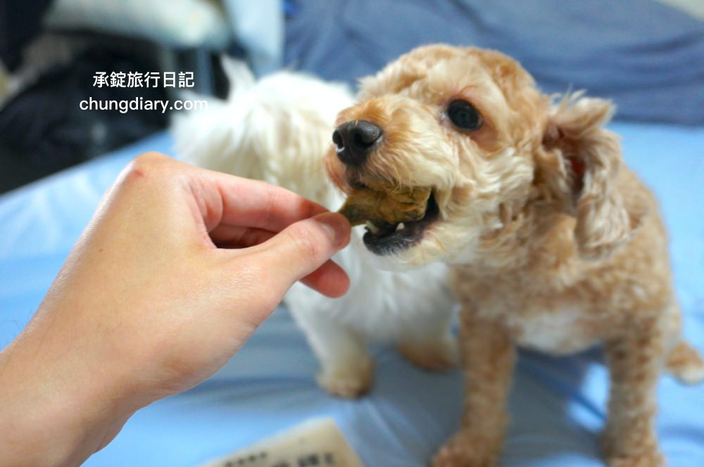 寵物凍乾零食【獸益糧多】極黑烏骨雞、珍饌虱目魚、特選骰子牛，100%自然原肉，不添加任何化學物、香料、防腐劑等，通過SGS檢驗、ISO/HACCP認證，挑嘴毛孩必備肉乾推薦！