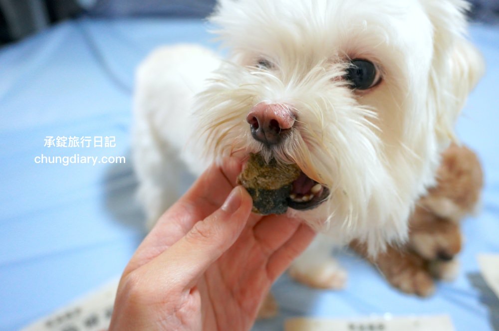 寵物凍乾零食【獸益糧多】極黑烏骨雞、珍饌虱目魚、特選骰子牛，100%自然原肉，不添加任何化學物、香料、防腐劑等，通過SGS檢驗、ISO/HACCP認證，挑嘴毛孩必備肉乾推薦！