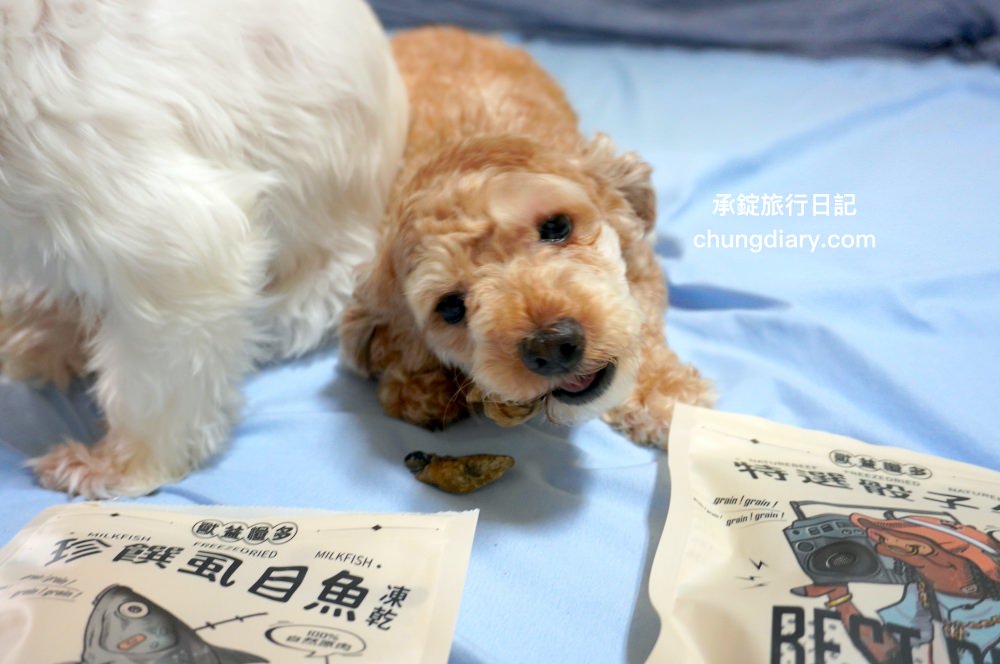 寵物凍乾零食【獸益糧多】極黑烏骨雞、珍饌虱目魚、特選骰子牛，100%自然原肉，不添加任何化學物、香料、防腐劑等，通過SGS檢驗、ISO/HACCP認證，挑嘴毛孩必備肉乾推薦！