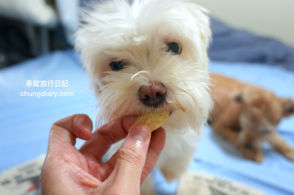 寵物凍乾零食【獸益糧多】極黑烏骨雞、珍饌虱目魚、特選骰子牛，100%自然原肉，不添加任何化學物、香料、防腐劑等，通過SGS檢驗、ISO/HACCP認證，挑嘴毛孩必備肉乾推薦！