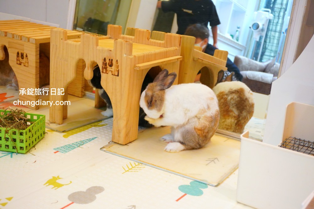 綠萼159地中海南法料理｜台中浪漫約會歐式餐廳，室內外大空間環境，華麗且舒適的用餐氛圍感！台中北屯兔子寵物友善餐廳，兔奴俱樂部聚會舉辦場所。