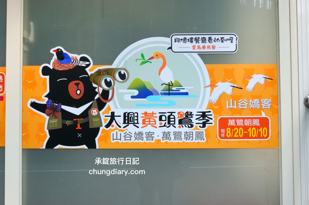 秋季限定！太興黃頭鷺季-萬鷺朝鳳，梅山鄉太興村的壯觀奇景，嘉義阿里山景點推薦！