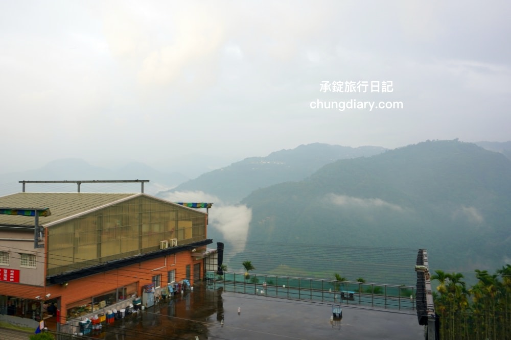 秋季限定！太興黃頭鷺季-萬鷺朝鳳，梅山鄉太興村的壯觀奇景，嘉義阿里山景點推薦！