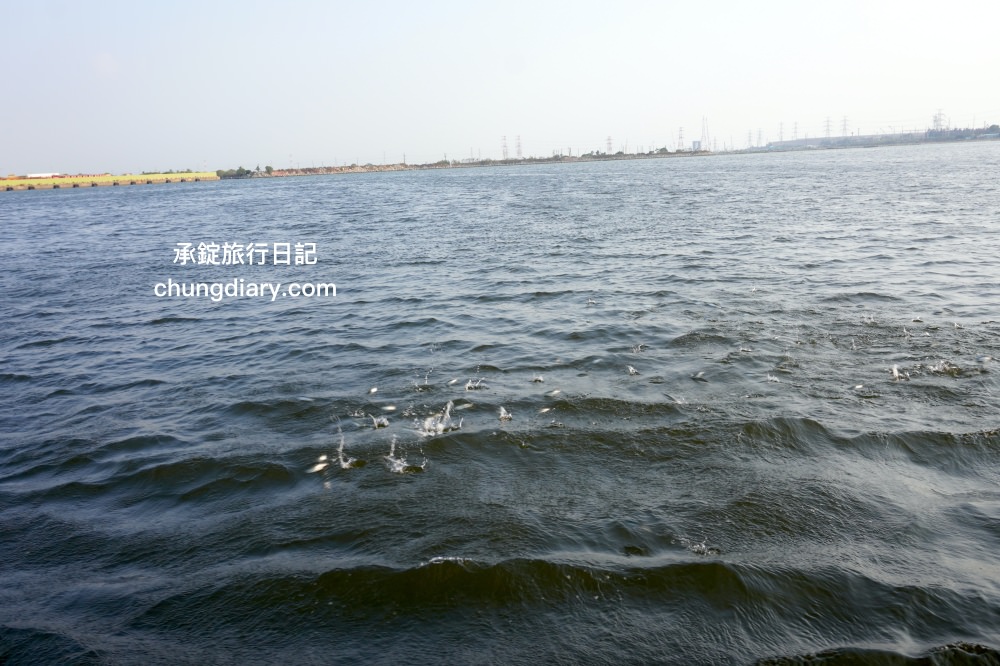 高雄一日遊帆船體驗｜興達港情人碼頭搭船、茄萣濕地公園賞鳥、大興魚市場海鮮食材、台灣滷味博物館、岡山佳香品味小菜館。