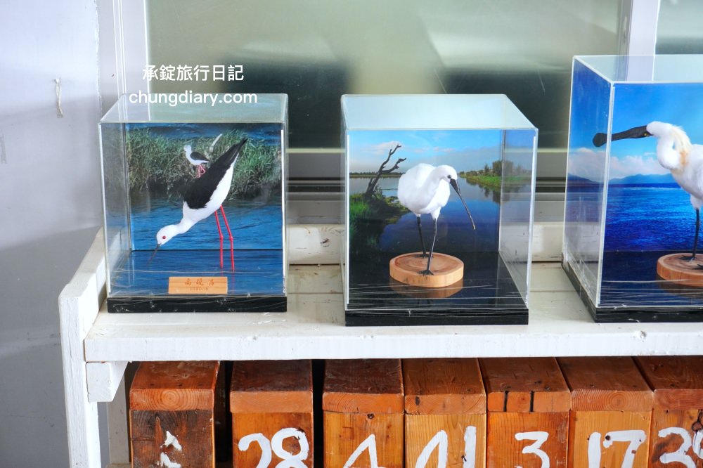 茄萣濕地公園|高雄生態旅遊賞鳥景點,黑面琵鷺、寒鴉、白鷺鷥、候鳥過冬據點。 - 第7張圖 茄萣濕地公園|高雄生態旅遊賞鳥景點,黑面琵鷺、寒鴉、白鷺鷥、候鳥過冬據點。