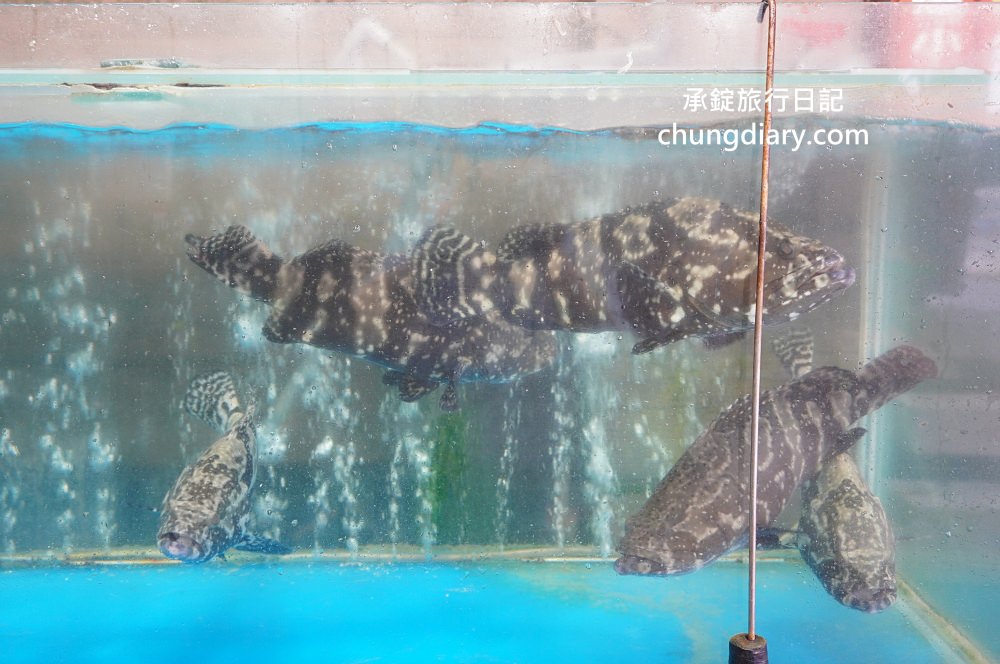 野柳望海亭海鮮餐廳｜自家漁船捕撈最新鮮！萬里蟹、活九孔、鮮魚、生魚片刺身…等，價格公開透明，野生活龍蝦一隻680元！平價高CP值老字號海產店。