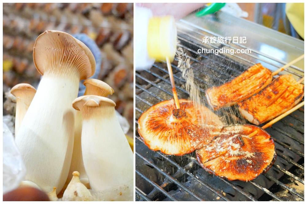 台中新社【阿亮香菇園】新社香菇觀光農場推薦!美食香菇料理、採香菇體驗、自產自銷菇類商品、園區內備有免費停車場。 - 第1張圖 台中新社【阿亮香菇園】新社香菇觀光農場推薦!美食香菇料理、採香菇體驗、自產自銷菇類商品、園區內備有免費停車場。