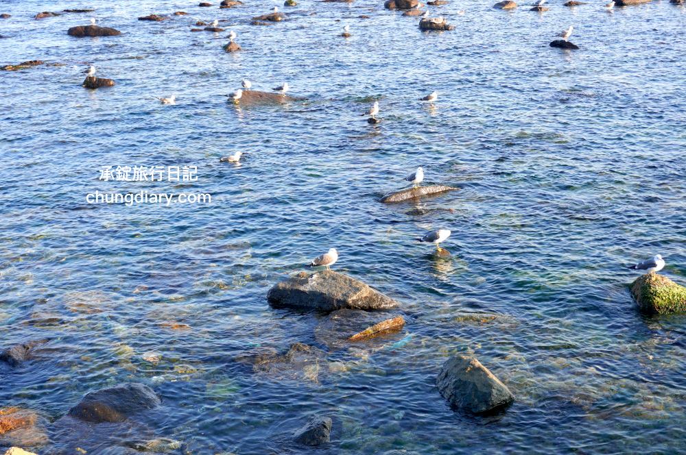 青沙浦紅白燈塔 청사포쌍둥이 등대｜釜山免費景點推薦，2022/9月颱風過後，全新建成「白色燈塔」裝置藝術打卡點。