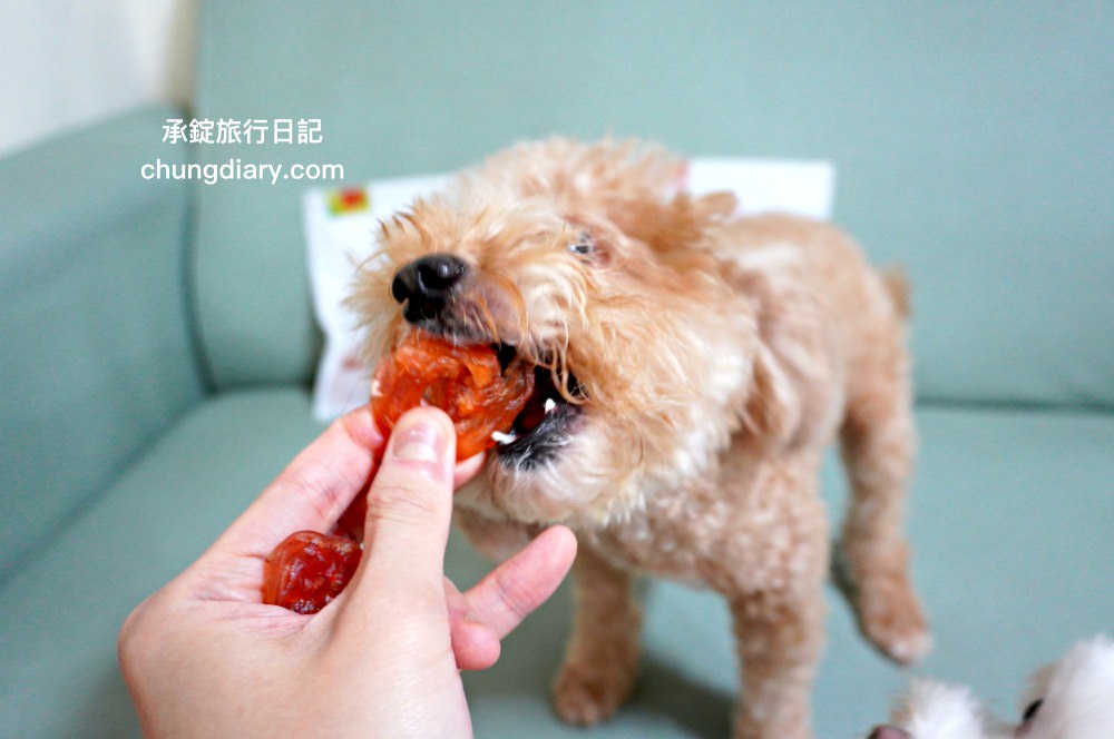 宏瑋寵物|汪汪零食、寵物潔牙指套、犬貓潔牙噴霧、犬用潔毛精、一次性寵物浴巾,全台唯一醫材專業寵物品牌。 - 第16張圖 宏瑋寵物|汪汪零食、寵物潔牙指套、犬貓潔牙噴霧、犬用潔毛精、一次性寵物浴巾,全台唯一醫材專業寵物品牌。