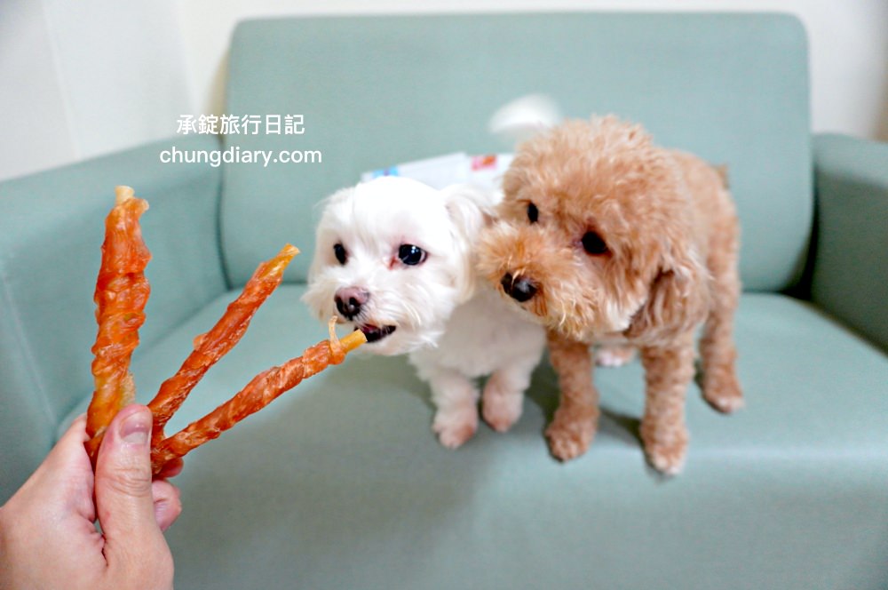 宏瑋寵物|汪汪零食、寵物潔牙指套、犬貓潔牙噴霧、犬用潔毛精、一次性寵物浴巾,全台唯一醫材專業寵物品牌。 - 第17張圖 宏瑋寵物|汪汪零食、寵物潔牙指套、犬貓潔牙噴霧、犬用潔毛精、一次性寵物浴巾,全台唯一醫材專業寵物品牌。