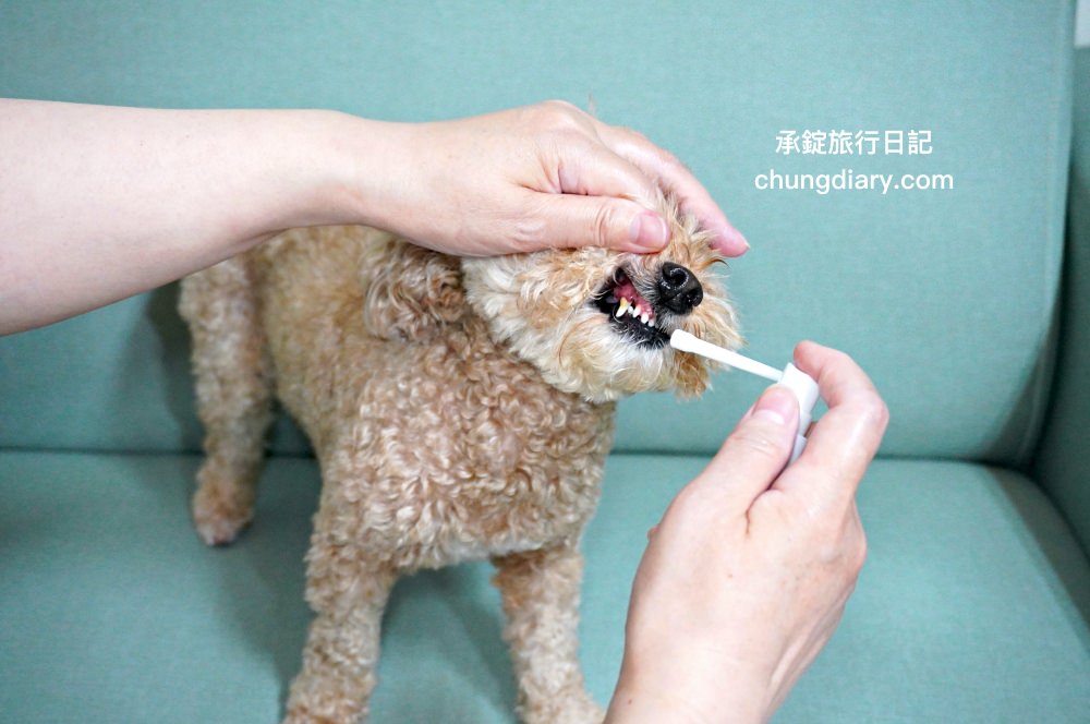 宏瑋寵物|汪汪零食、寵物潔牙指套、犬貓潔牙噴霧、犬用潔毛精、一次性寵物浴巾,全台唯一醫材專業寵物品牌。 - 第22張圖 宏瑋寵物|汪汪零食、寵物潔牙指套、犬貓潔牙噴霧、犬用潔毛精、一次性寵物浴巾,全台唯一醫材專業寵物品牌。