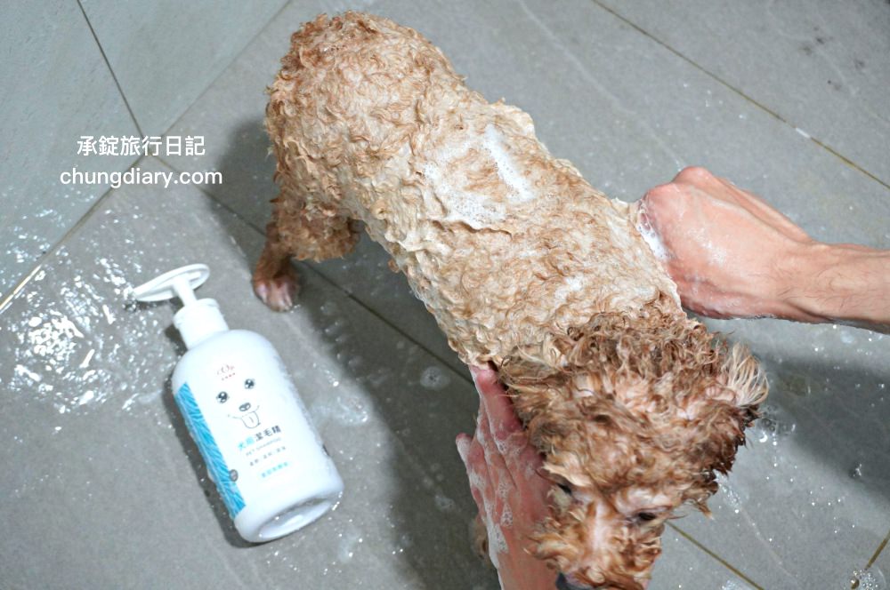 宏瑋寵物|汪汪零食、寵物潔牙指套、犬貓潔牙噴霧、犬用潔毛精、一次性寵物浴巾,全台唯一醫材專業寵物品牌。 - 第32張圖 宏瑋寵物|汪汪零食、寵物潔牙指套、犬貓潔牙噴霧、犬用潔毛精、一次性寵物浴巾,全台唯一醫材專業寵物品牌。