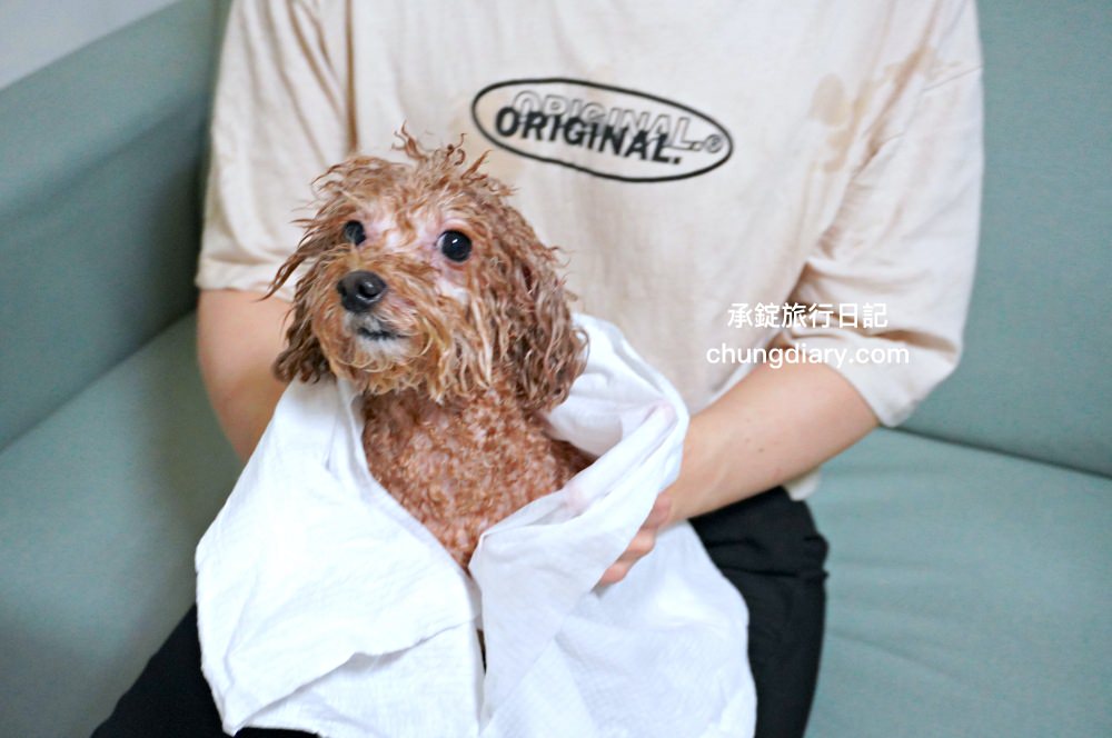 宏瑋寵物|汪汪零食、寵物潔牙指套、犬貓潔牙噴霧、犬用潔毛精、一次性寵物浴巾,全台唯一醫材專業寵物品牌。 - 第35張圖 宏瑋寵物|汪汪零食、寵物潔牙指套、犬貓潔牙噴霧、犬用潔毛精、一次性寵物浴巾,全台唯一醫材專業寵物品牌。