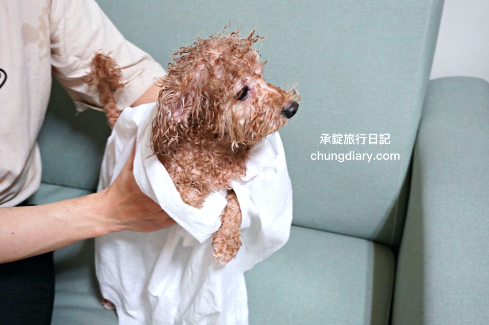 宏瑋寵物|汪汪零食、寵物潔牙指套、犬貓潔牙噴霧、犬用潔毛精、一次性寵物浴巾,全台唯一醫材專業寵物品牌。 - 第37張圖 宏瑋寵物|汪汪零食、寵物潔牙指套、犬貓潔牙噴霧、犬用潔毛精、一次性寵物浴巾,全台唯一醫材專業寵物品牌。